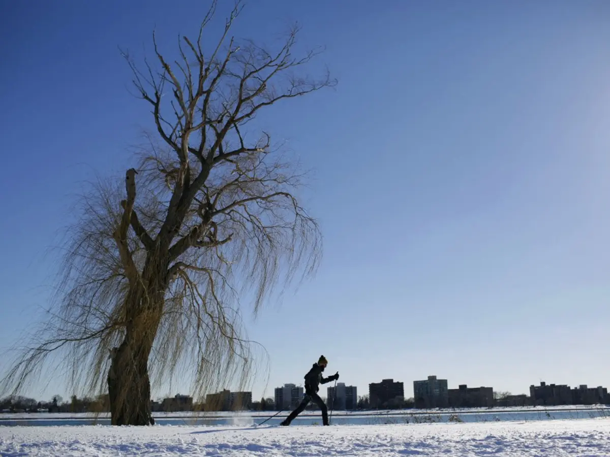 Cleanest air quality 2025: World's top 10 cities with best air quality index - WION