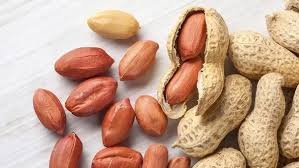 ICRISAT unlocks genetic blueprint to shield groundnuts from Stem Rot