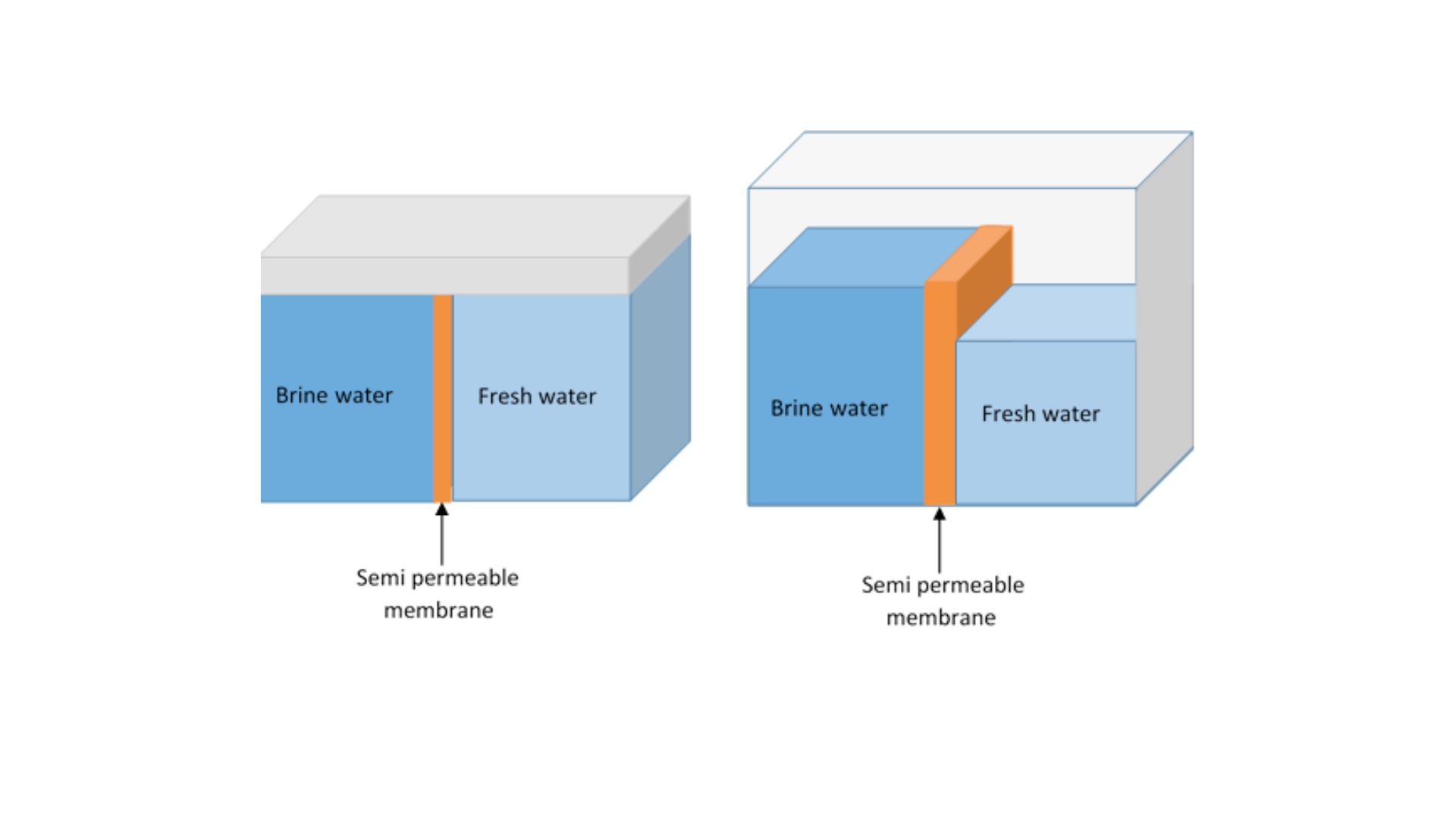 What it takes to make osmotic power work at scale An illustration showing the before and after of osmosis.