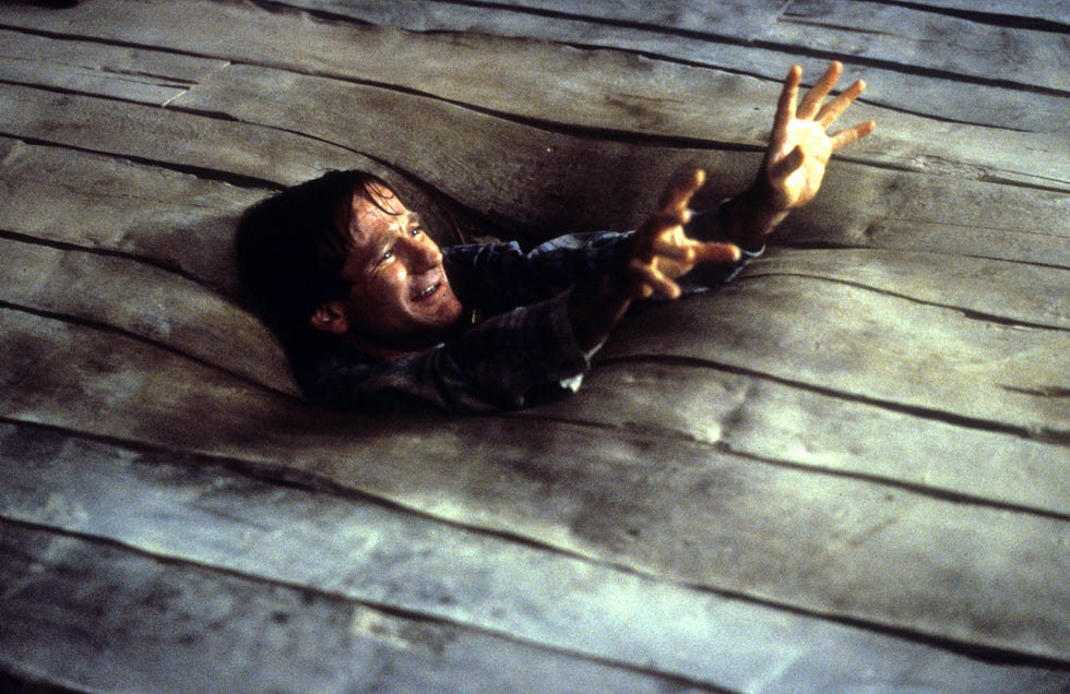 Robin Williams, Jumanji robin williams, jumanji