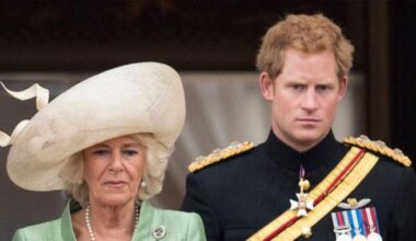 Truth behind Harry's bold remarks about Queen Camilla exposed by ex butler