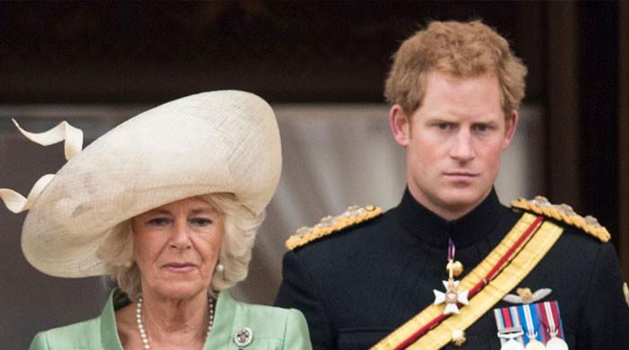 Truth behind Harry's bold remarks about Queen Camilla exposed by ex butler