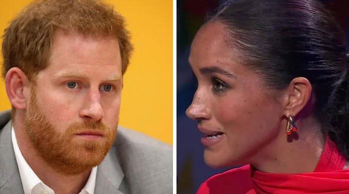 Prince Harry, Meghan Markle get slapped with delusion: ‘Very desperate!'