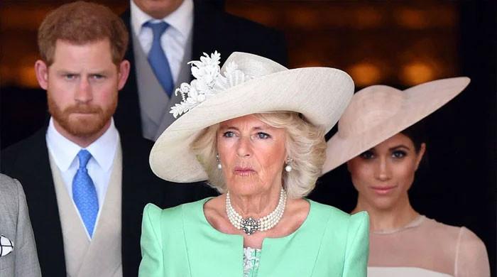 Queen Camilla says Meghan Markle's ‘dangerous' for King Charles peace