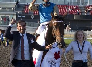 ‘To put Qatar in the international spotlight was the important thing’ – focus on the team behind Woodbine winner Silawi | Topics: Canadian International, Qatar