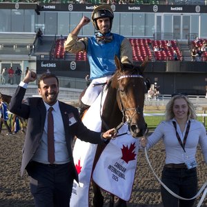 ‘To put Qatar in the international spotlight was the important thing’ – focus on the team behind Woodbine winner Silawi | Topics: Canadian International, Qatar