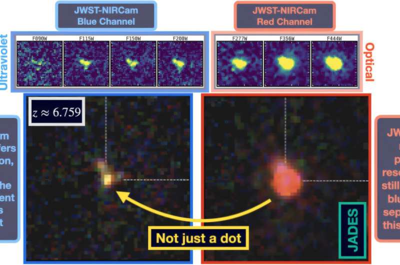 Little Red Dots frequently reveal clumpy morphologies, and some of these also bear the hallmarks of active black holes