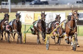 Loua Dipa smashes sister’s world record at Red Mile – U.S. Trotting News