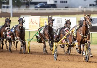 Loua Dipa smashes sister’s world record at Red Mile – U.S. Trotting News