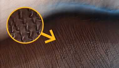 Experiment Reveals What Is Truly Burrowing Beneath Mars's Dunes Each Spring : ScienceAlert