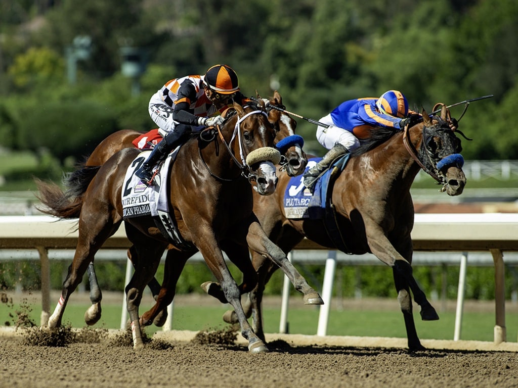Intrepido on his way to the Breeders' Cup after capturing G1 American Pharoah S. - Spendthrift