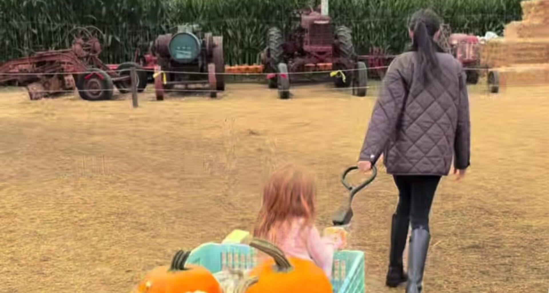 Meghan Markle Halloween