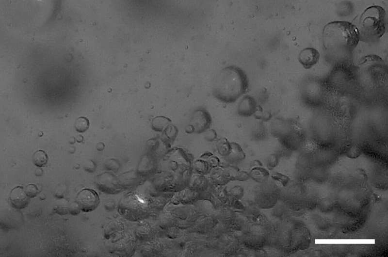 Microlightning might provide long-sought explanation for will-o'-the-wisps
