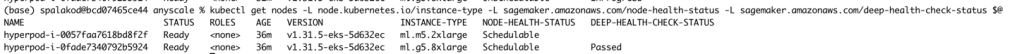 Terminal view of Kubernetes nodes health check showing two ml.g5 instances with status and health details