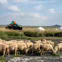 Modern Mongolian Ger Installation  / Ger Atelier - Exterior Photography