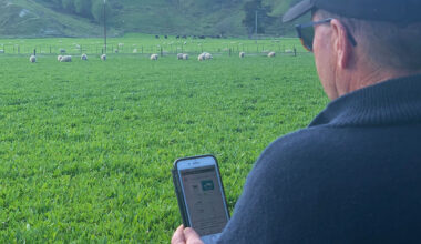 Simplifying ram selection with nProve