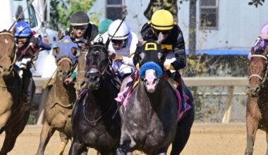 Napoleon Solo much the best in G1 Champagne