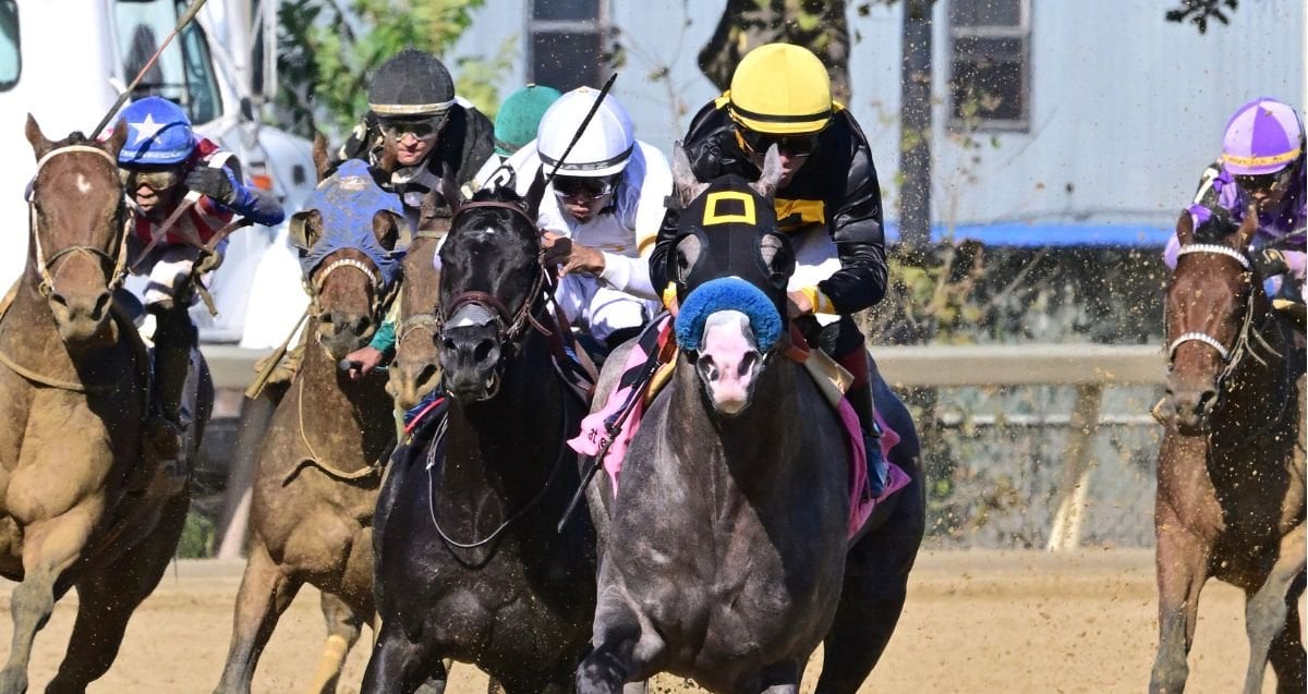 Napoleon Solo much the best in G1 Champagne