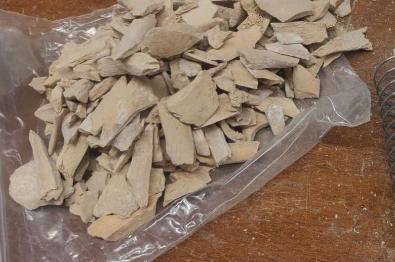 New DNA evidence from Crimea sheds light on Neanderthal migration into Asia