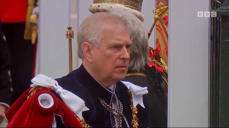 Prince Andrew has already lost some of his titles.