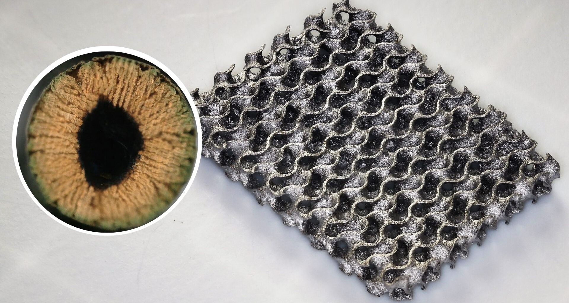 Scientific sorcery? Japan achieves near-frictionless levitation on macroscopic rotor