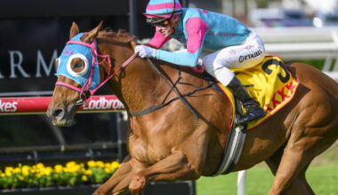 Nikau Spur set for back-to-back Queensland Cups :: Racing Queensland