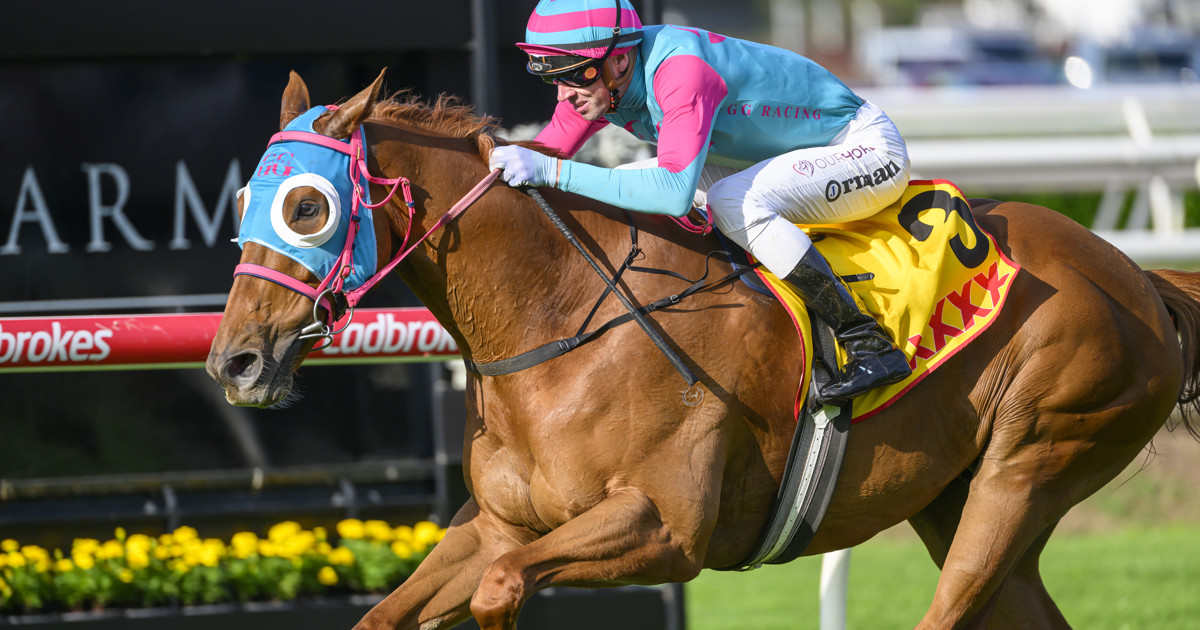 Nikau Spur set for back-to-back Queensland Cups :: Racing Queensland