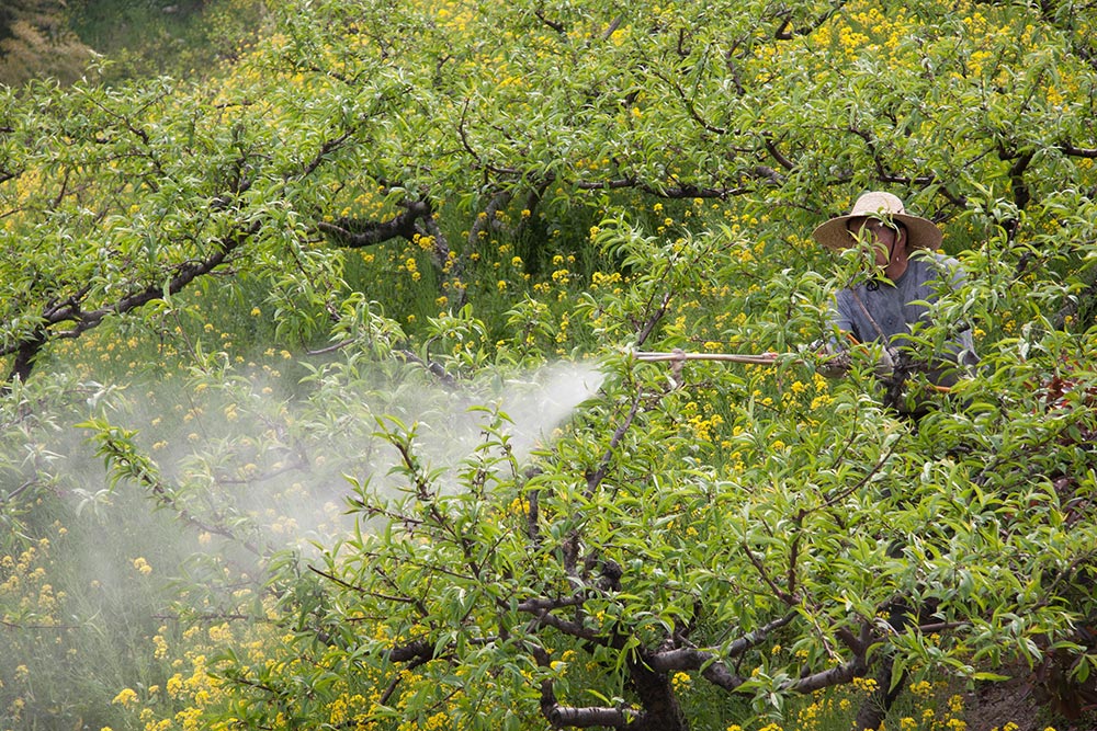 Bio Eco Actual - Alimentación Ecológica, Prensa Independiente