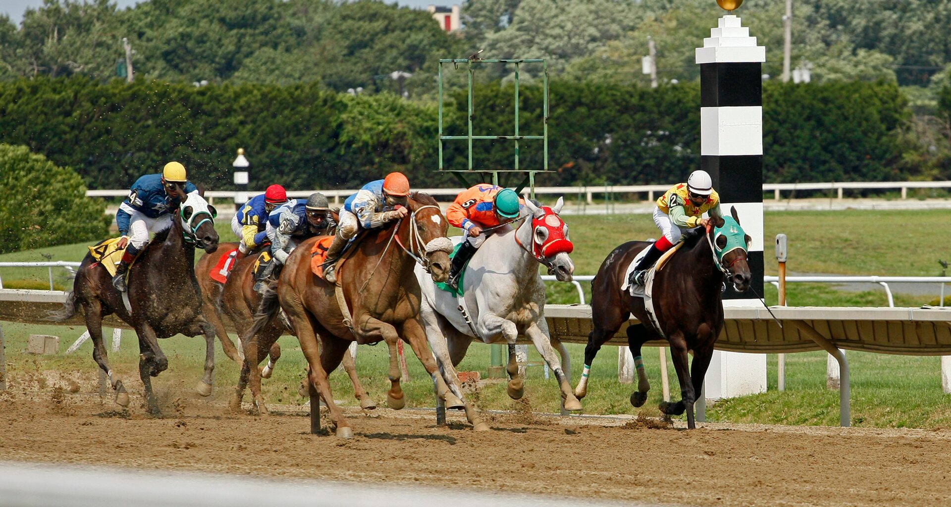 How Online Sportsbooks are Making Horse Racing More Accessible - Albert Lea Tribune
