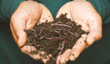 ‘Taste like almonds, cheaper than chicken’: Eat bread worms as rich protein source; bizarre money-saving hacks go viral