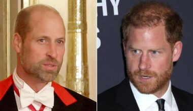 Prince William To Strip Prince Harry & Non-Working Royals Of Titles