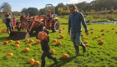 Pumpkins, tours, and autumn fun at Kirkstall Valley Farm