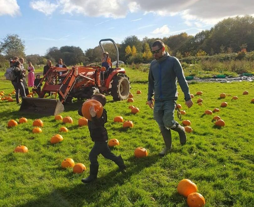 Pumpkins, tours, and autumn fun at Kirkstall Valley Farm