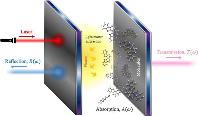 Quantum fluctuations found hidden beneath classical optical signals in polaritons