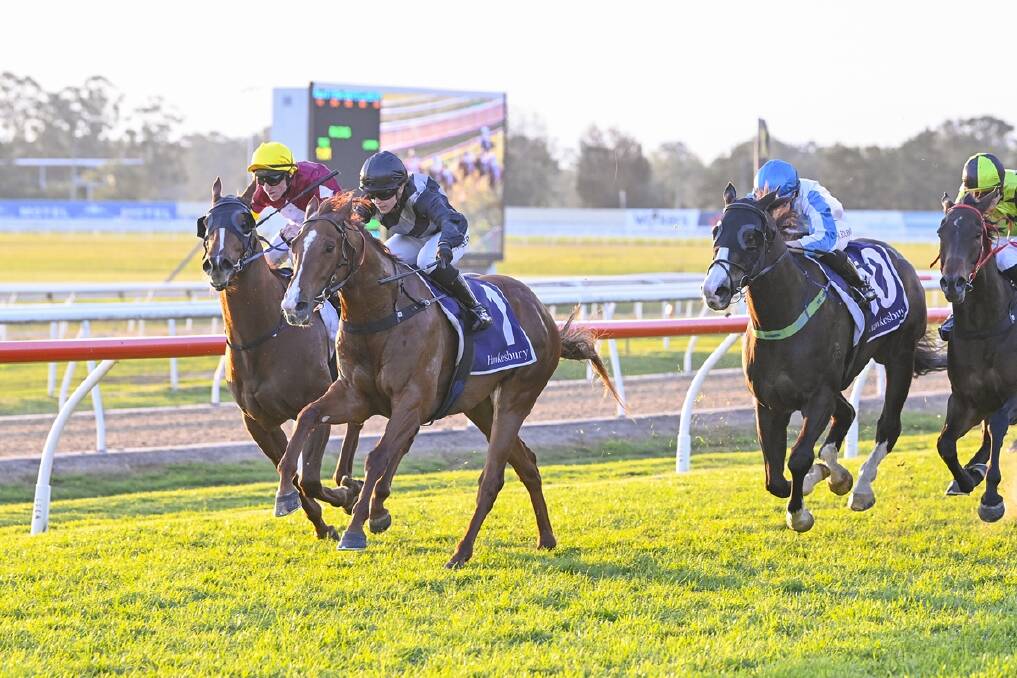 Battle Hymn. Picture by Bradley Photos.