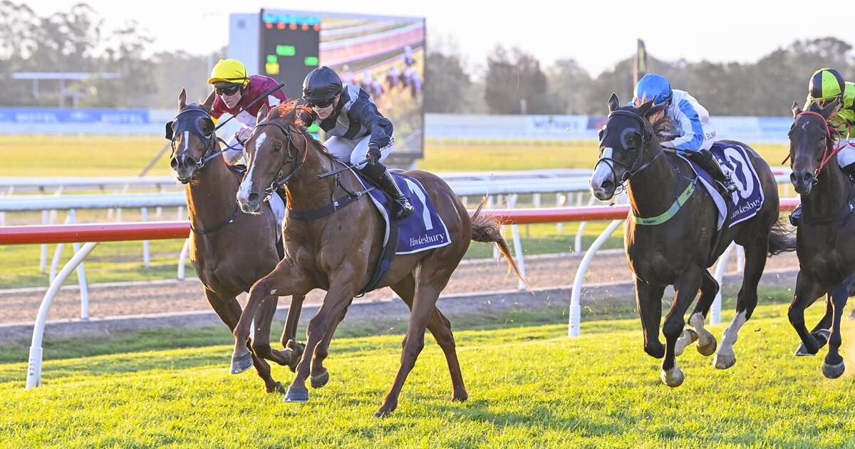 Battle Hymn. Picture by Bradley Photos.