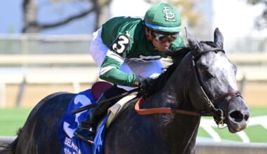 Rated by Merit remains undefeated with $125K Discovery score