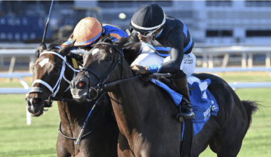 Ready for Candy goes for graded double in G2 Sands Point