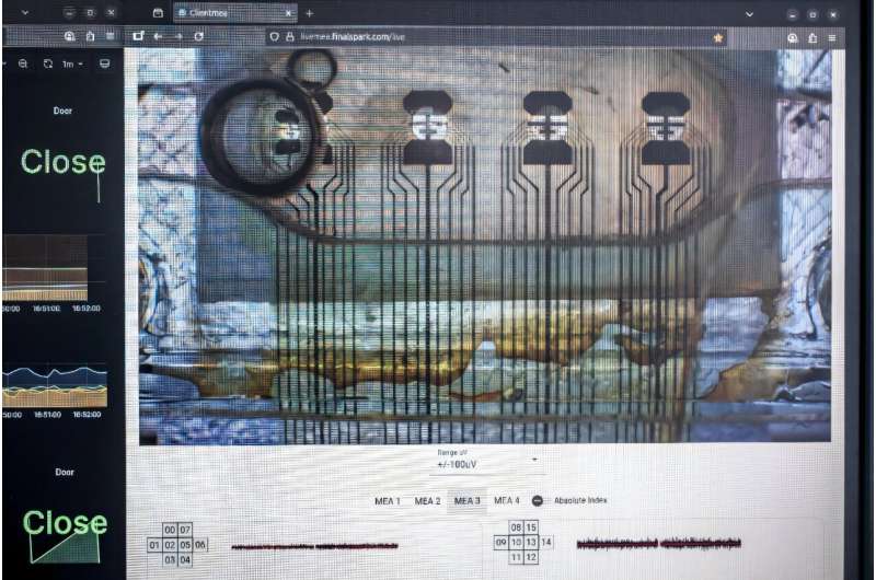 Saturday Citations: Yet another solution for universal expansion; Computing with brain organoids