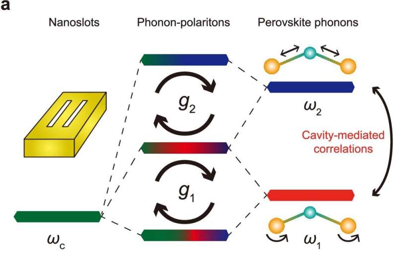 Scientists uncover room-temperature route to improved light-harvesting and emission devices