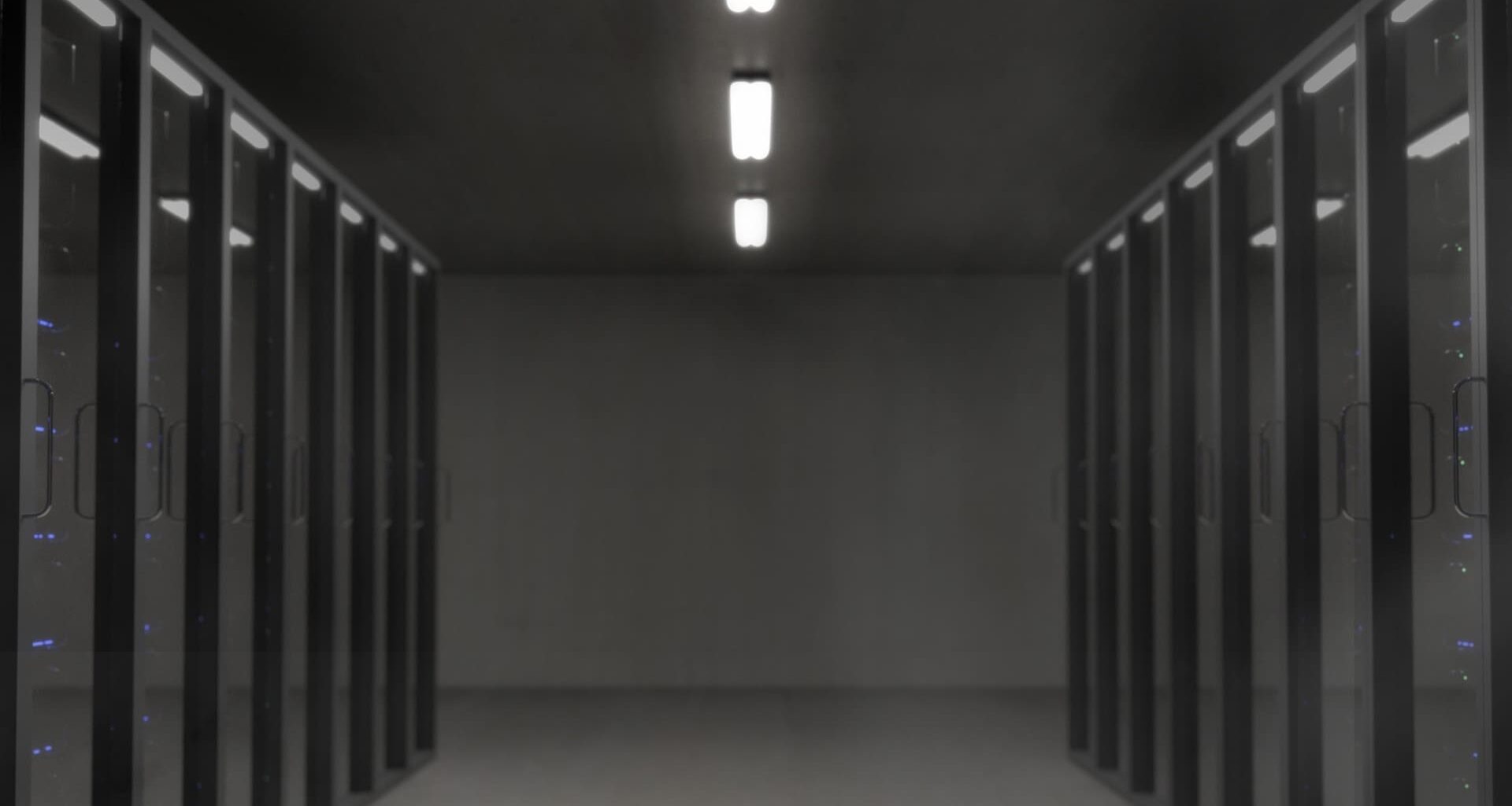 SPEEDRUN - How to make the internet useless