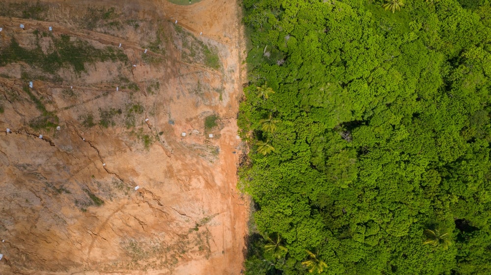 Fashion sector has six-month grace period for EU deforestation law