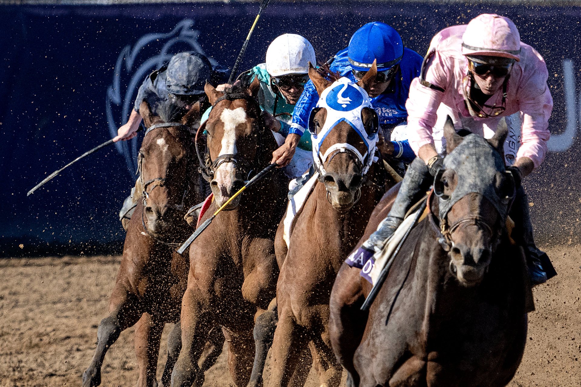 Sierra Leone wins the 2024 Breeders' Cup Classic at Del Mar