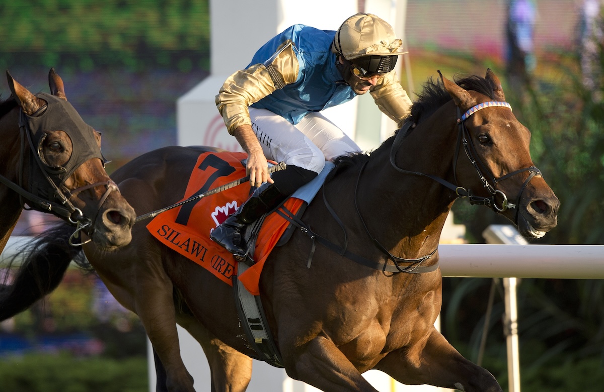 Silawi (Faleh Bughenaim) lands a historic triumph in the Canadian International. Photo: Michael Burns