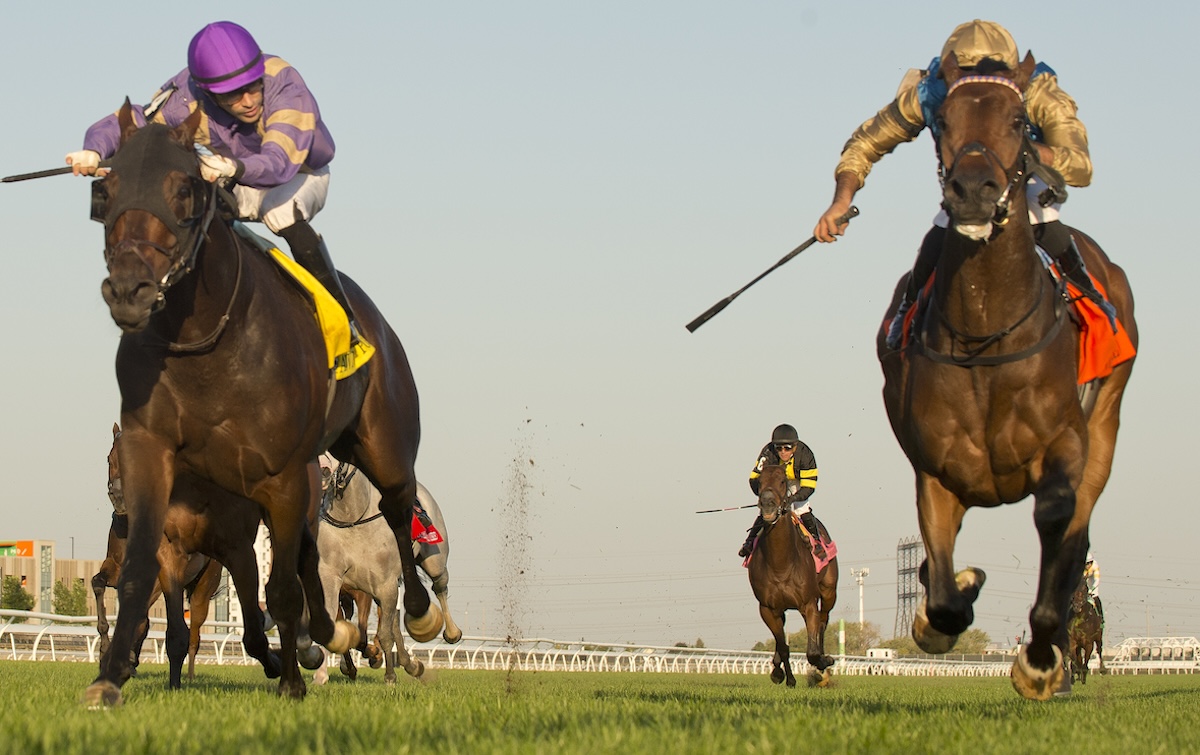 Silawi (right) gets the better of Tawny Port at Woodbine. Photo: Michael Burns