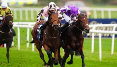 Hotazhell won the Futurity Trophy in 2024