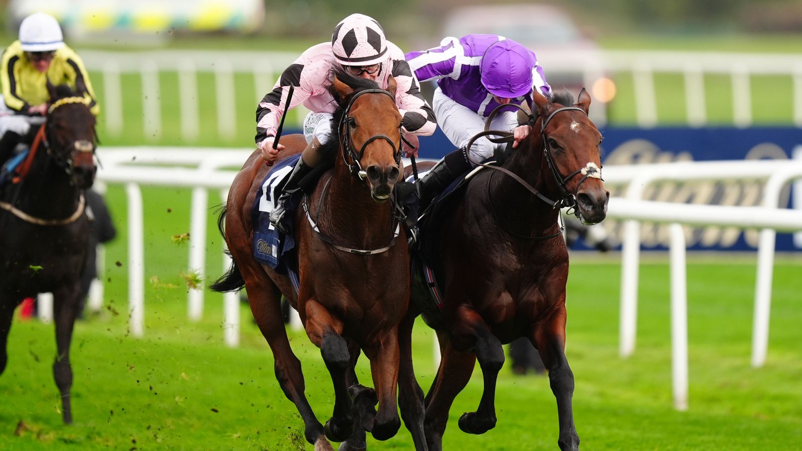 Hotazhell won the Futurity Trophy in 2024