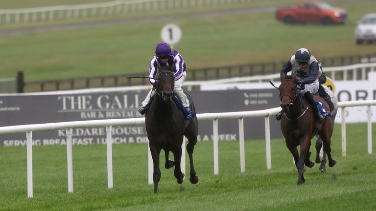 Hawk Mountain will contest Doncaster's Group 1 on Saturday