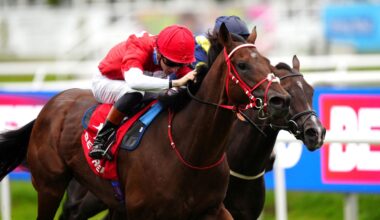 Rogue Diplomat returns to the track this afternoon.