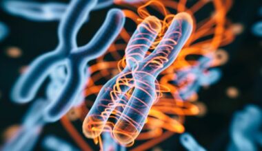 How Telomere Length Is Inherited and Why It Matters